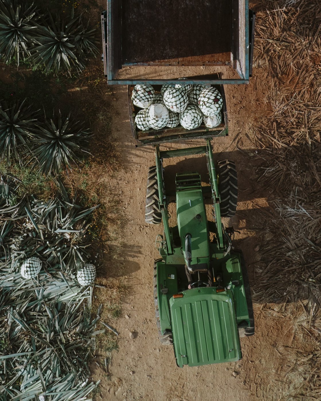 Craft harvest tractor Jalisco